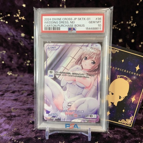 2024 divine cross cartone - 2024,